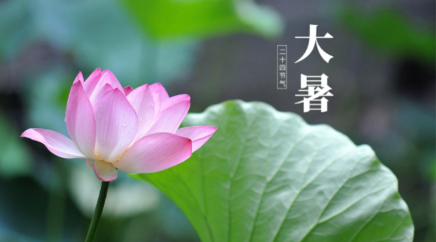 大暑時(shí)節(jié)！金環(huán)電器提醒大家注意這些干衣細(xì)節(jié)