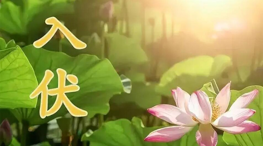 入伏天來襲！金環(huán)電器提醒大家要注意的事項(xiàng)