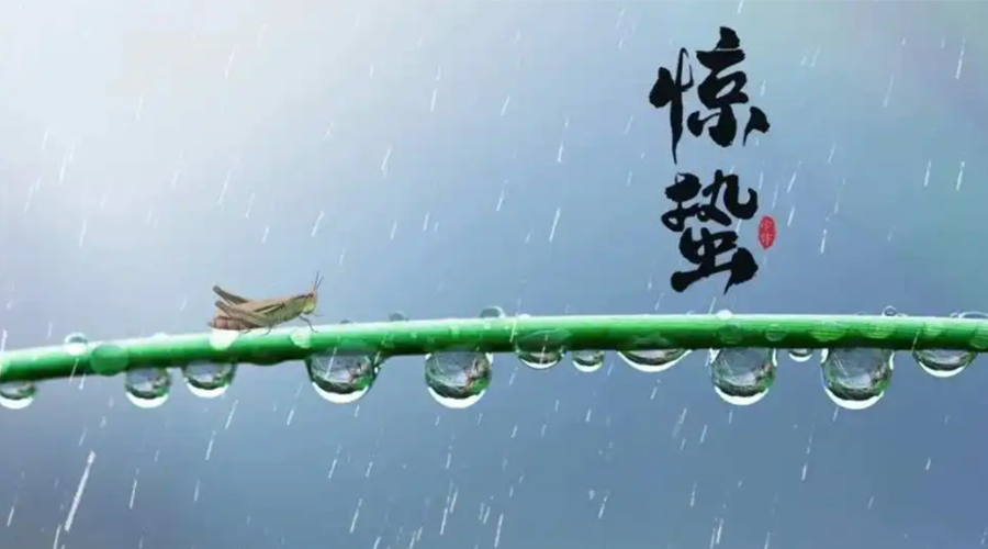 驚蟄時(shí)節(jié)！金環(huán)電器提醒大家干衣要注意這些