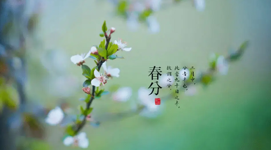 春分雨水多易生菌！金環(huán)電器提醒你衣物要注意處理