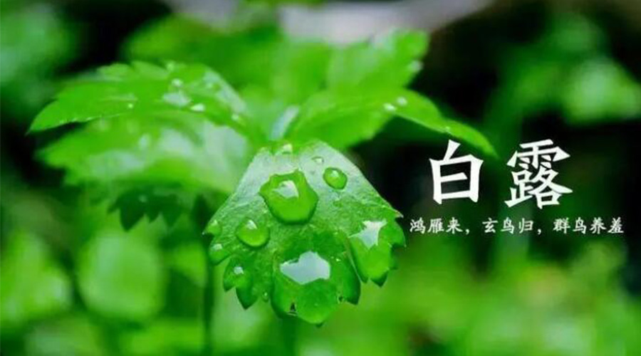 白露時(shí)節(jié)！金環(huán)電器提醒大家要注意的事項(xiàng)