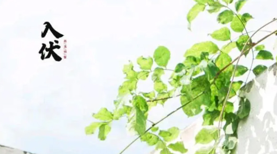 初伏時(shí)節(jié)！金環(huán)電器提醒大家要注意的事項(xiàng)