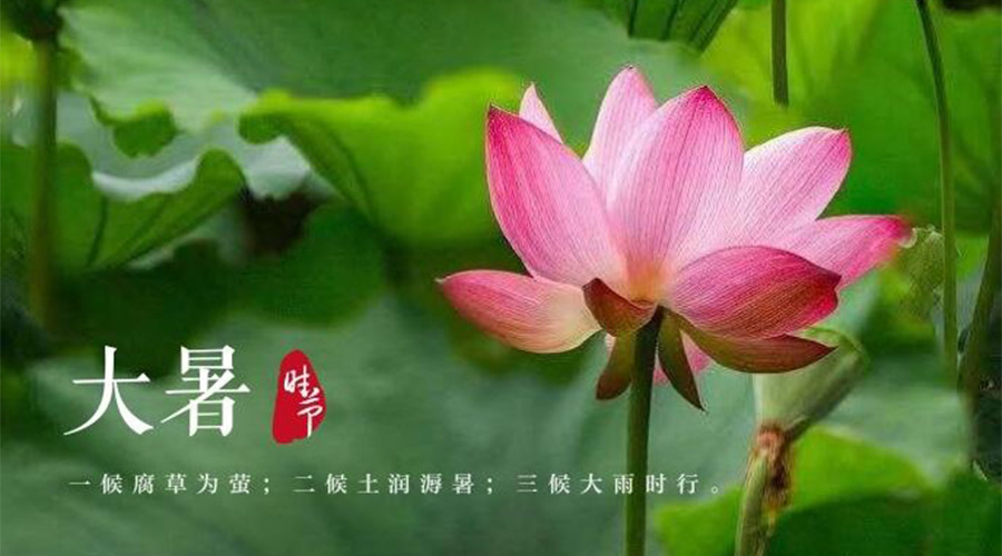 大暑時(shí)節(jié)！金環(huán)電器提醒大家要注意的事項(xiàng)