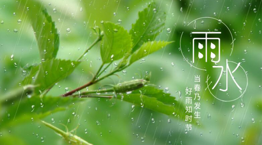 雨水時(shí)節(jié)！金環(huán)電器提醒大家要注意的事項(xiàng)