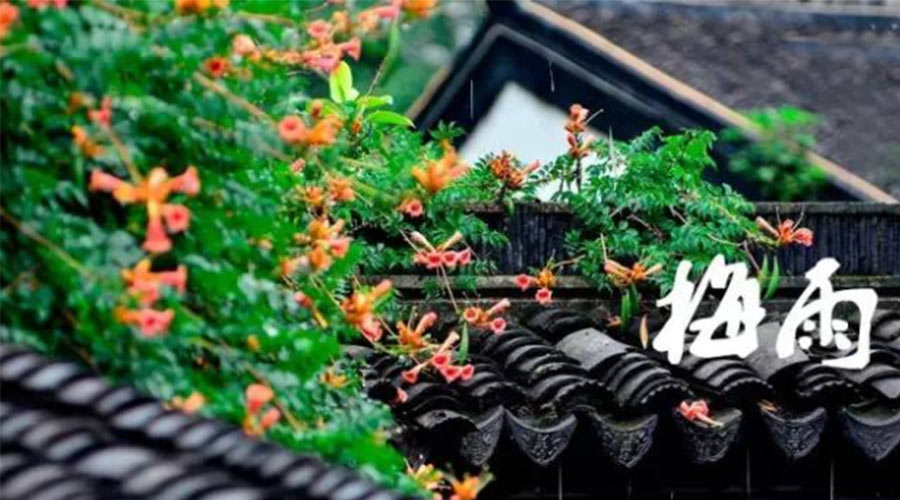 什么是梅雨？梅雨如何形成？  金環(huán)電器告訴你答案